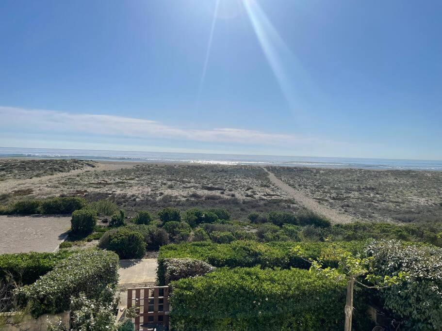 Port Leucate : Superbe Appartement Pleine Vue Mer Ngoại thất bức ảnh